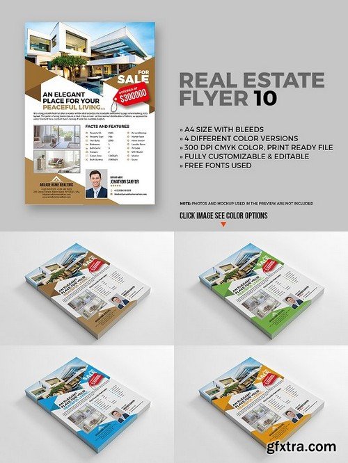 Real estate flyer 10