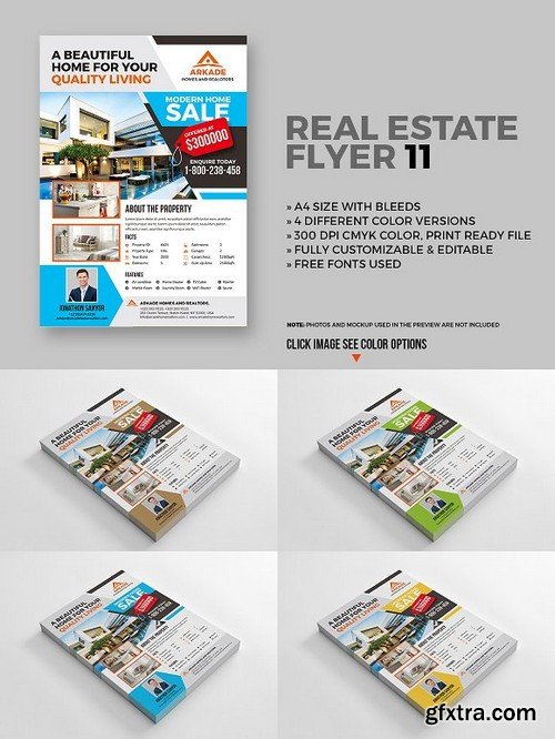 Real estate flyer 11