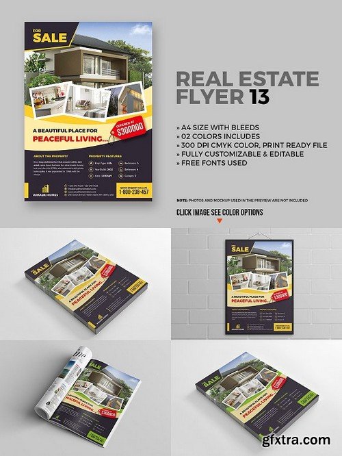 Real estate flyer 13