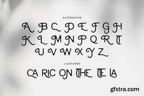 Cainamons - Vintage Font