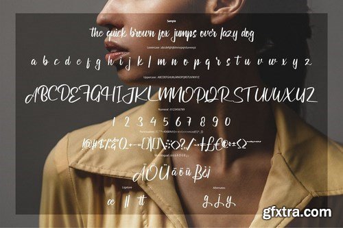 Astilula Modern New Script Font