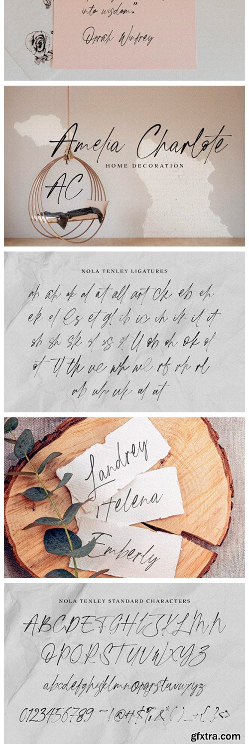 Nola Tenley Font