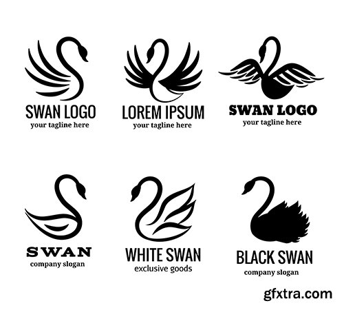 Swan logo set of white or black swan