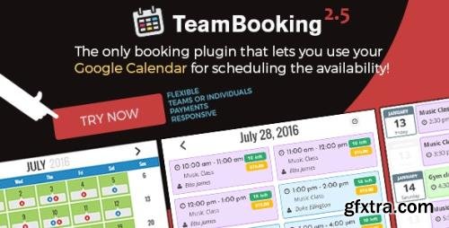 CodeCanyon - Team Booking v2.5.8 - WordPress booking system - 9211794