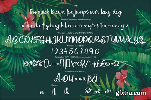 Bilesa New Style Script