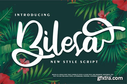 Bilesa New Style Script