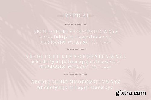 Tropical Serif Font