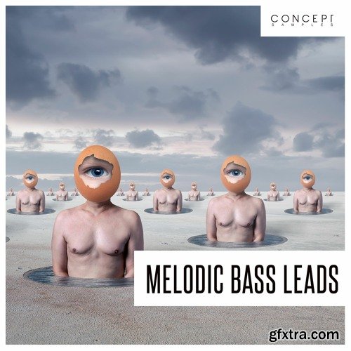 Concept Samples Melodic Bass Leads WAV