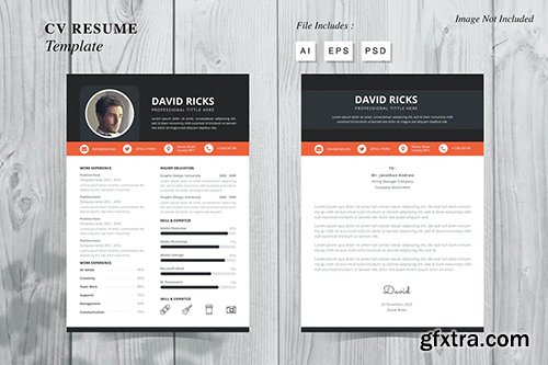 David Ricks - CV Resume Template