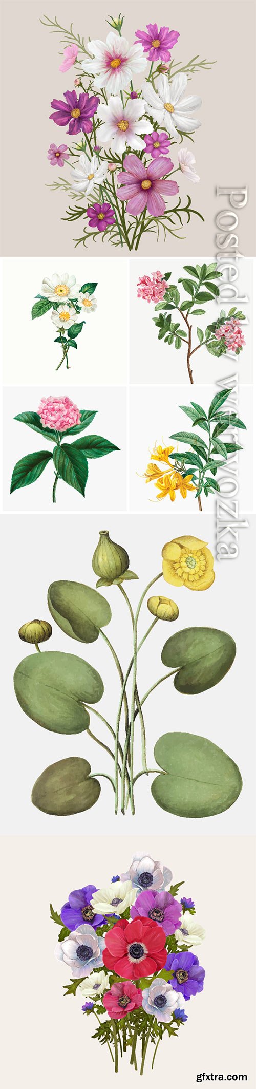 Vector different flowers