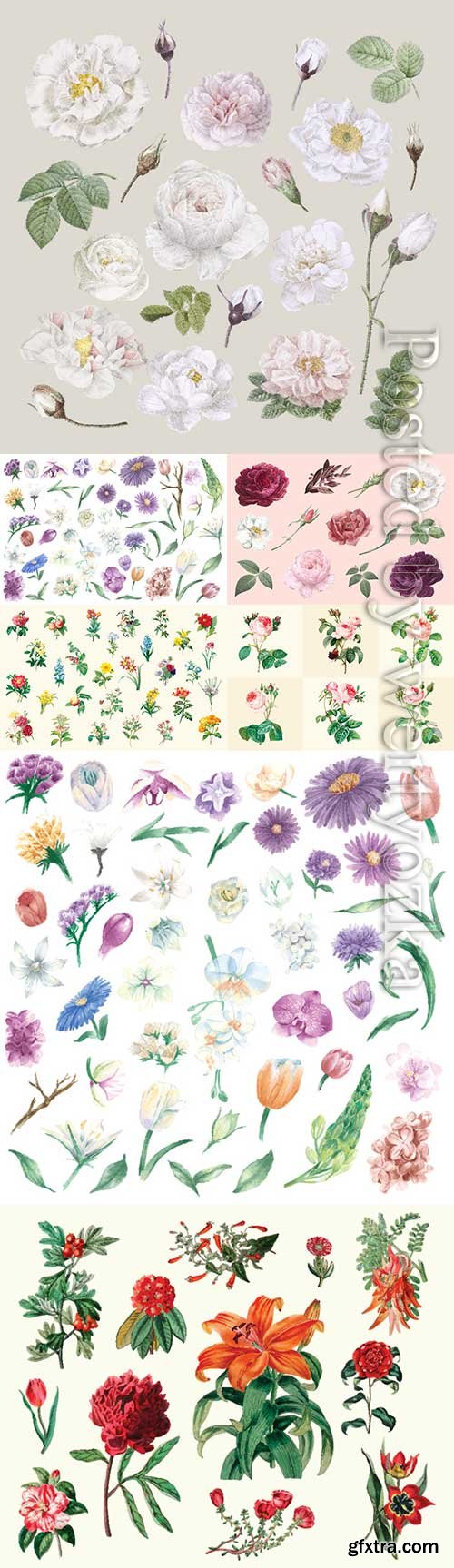 Drawn vector different flowers