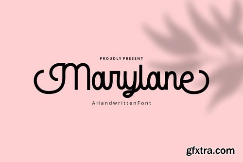 Marylane - Monoline Script Font