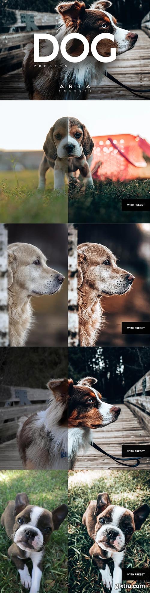 ARTA Dogs Presets For Mobile and Desktop