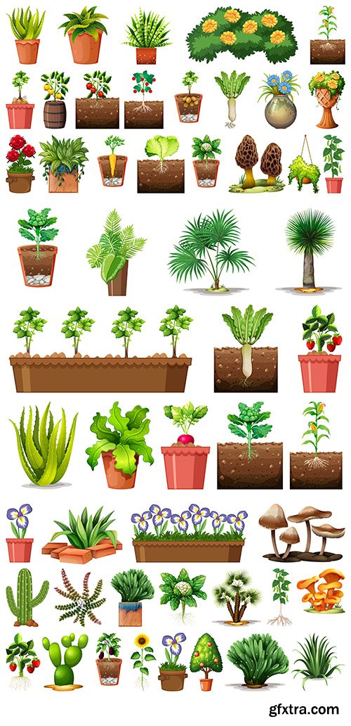 Set of different plants pots isolated