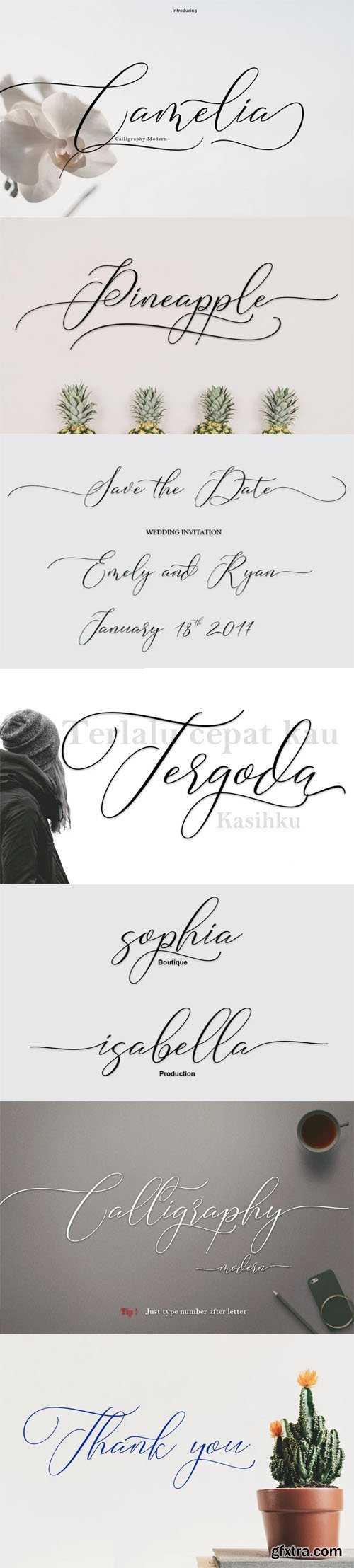 Camelia Calligraphy - Modern Script Typeface