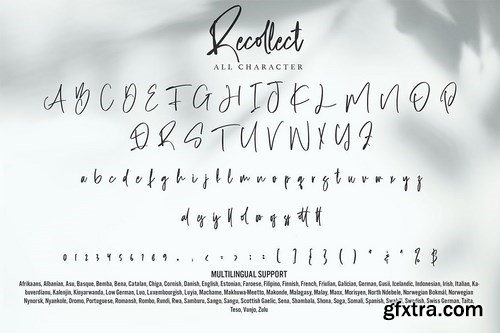 Recollect - Calligraphy Font