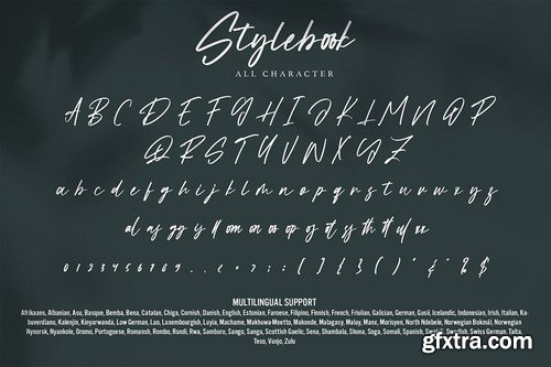 Stylebook - Modern Signature Font