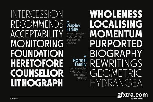 CM - Otterco Font Family 6070288