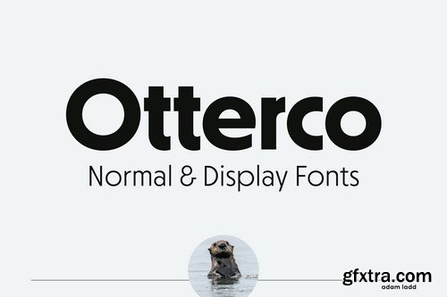 CM - Otterco Font Family 6070288