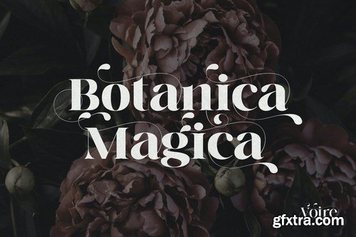 Voire - Elegant Beauty Serif Family