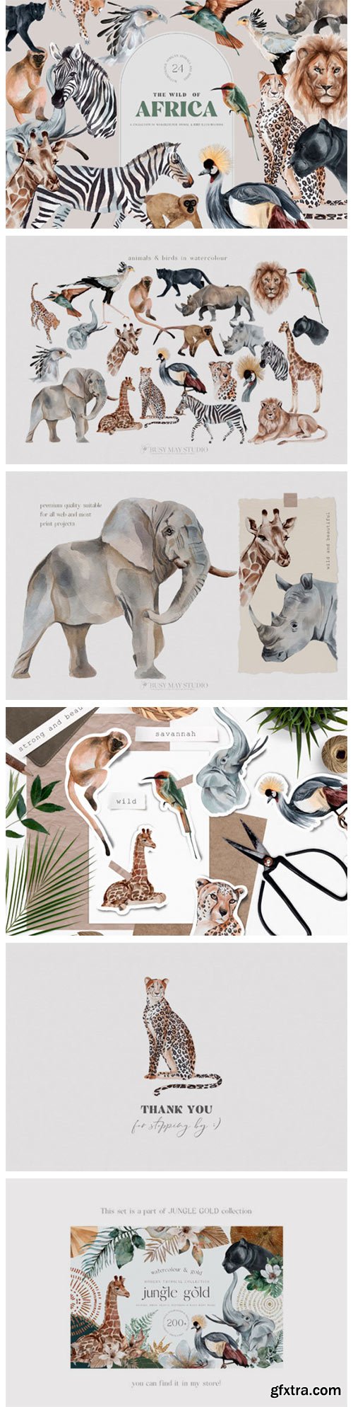 Wild Animals of Africa Illustrations PNG 10996275