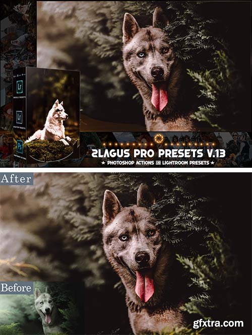 PRO Presets - V 13 - Photoshop & Lightroom