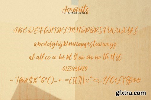 Acronits Script Font