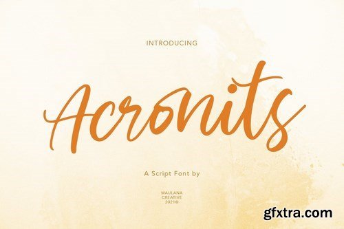 Acronits Script Font