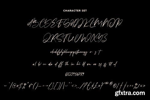 Steffyray Signature Font