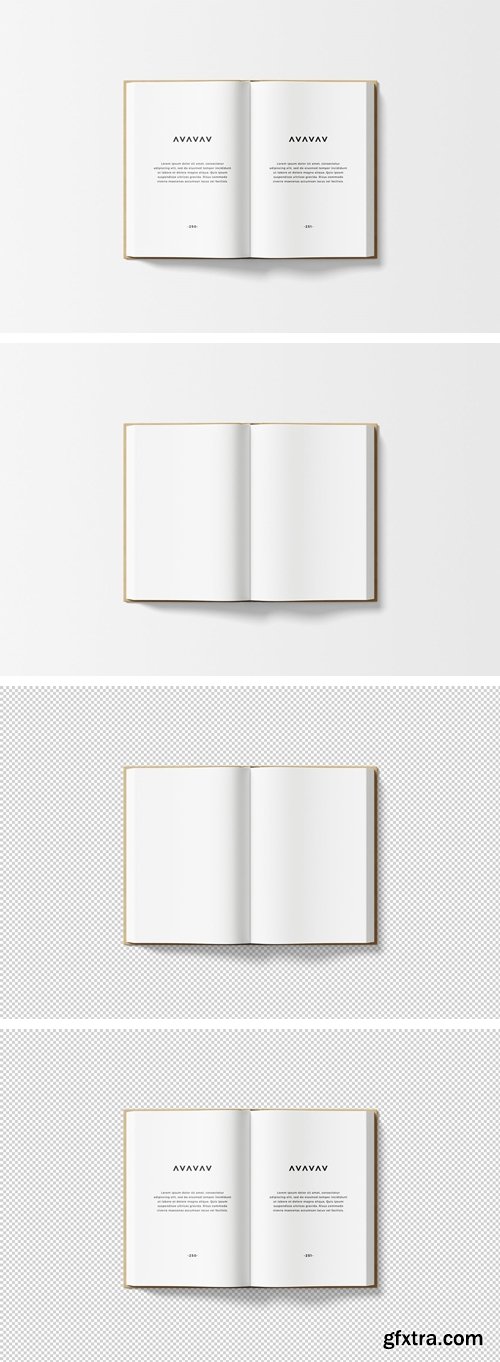 Customizable Book Mockup