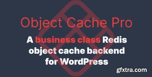 Redis Cache Pro v1.13.1 - Redis Object Cache Backend for WordPress