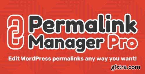 Permalink Manager Pro v2.2.9.9 - Edit WordPress Permalinks Any Way You Want - NULLED