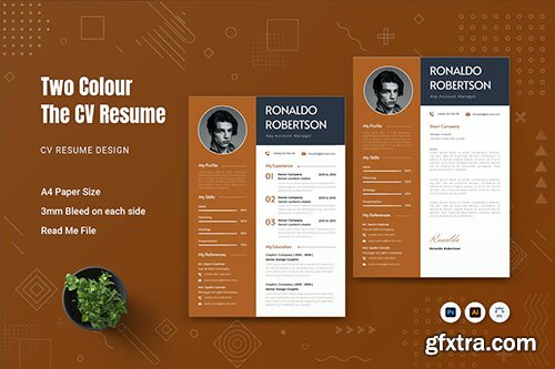 Two Colour CV Resume