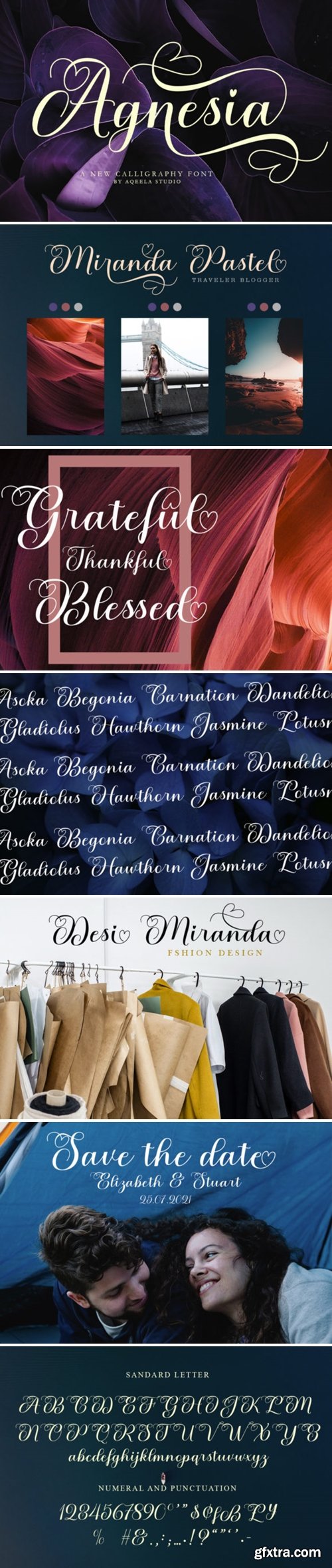 Agnesia Font