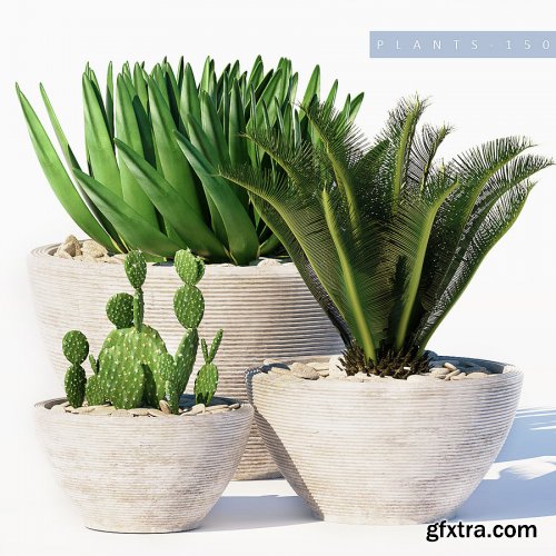 Plants set 150 3D Model 