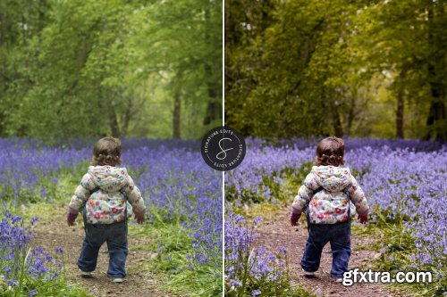 Signature Edits - The Family Lightroom Preset Collection