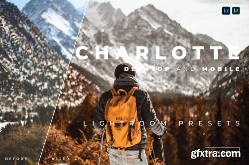 Charlotte Desktop and Mobile Lightroom Preset