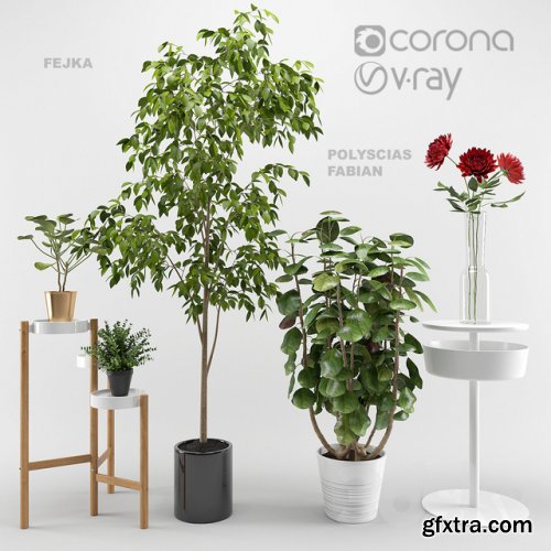 Ikea plants set