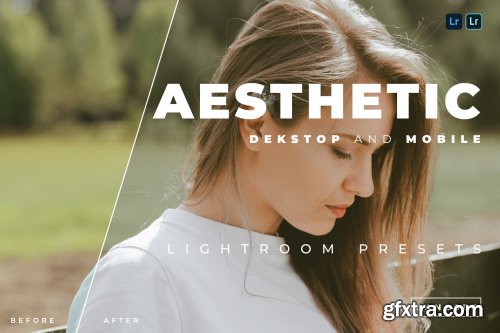 Aesthetic Desktop and Mobile Lightroom Preset