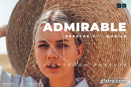 Admirable Desktop and Mobile Lightroom Preset