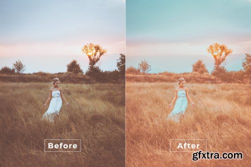 Admirable Desktop and Mobile Lightroom Preset