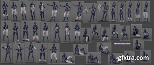  Everyday 2 Daily Poses and Clothes Vol.3 for Genesis 8 Females 