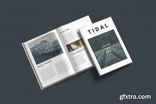 Book Mockup V.4