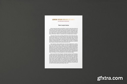 A4 Letterhead & Folder Mockup