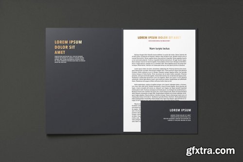 A4 Letterhead & Folder Mockup