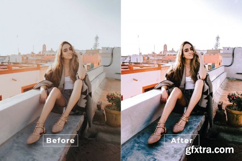 Alluring Desktop and Mobile Lightroom Preset