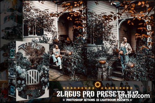 PRO Presets - V 17 - Photoshop & Lightroom