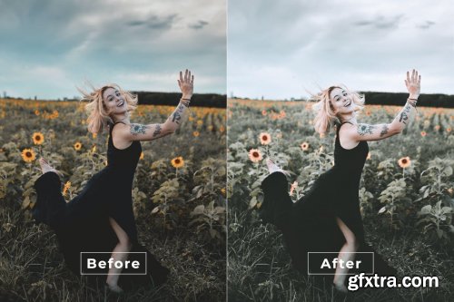 Angelia Desktop and Mobile Lightroom Preset