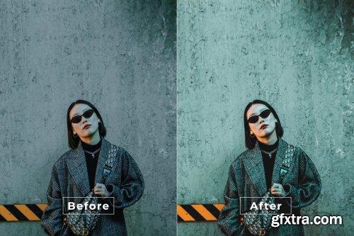 Asian Desktop and Mobile Lightroom Preset