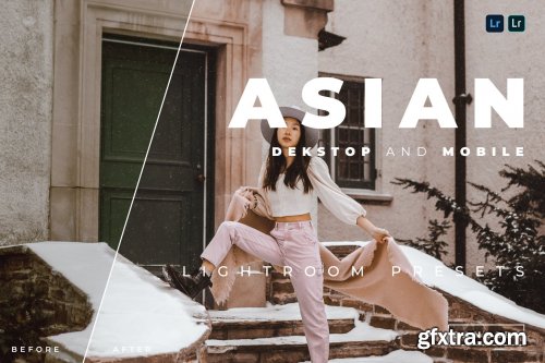 Asian Desktop and Mobile Lightroom Preset